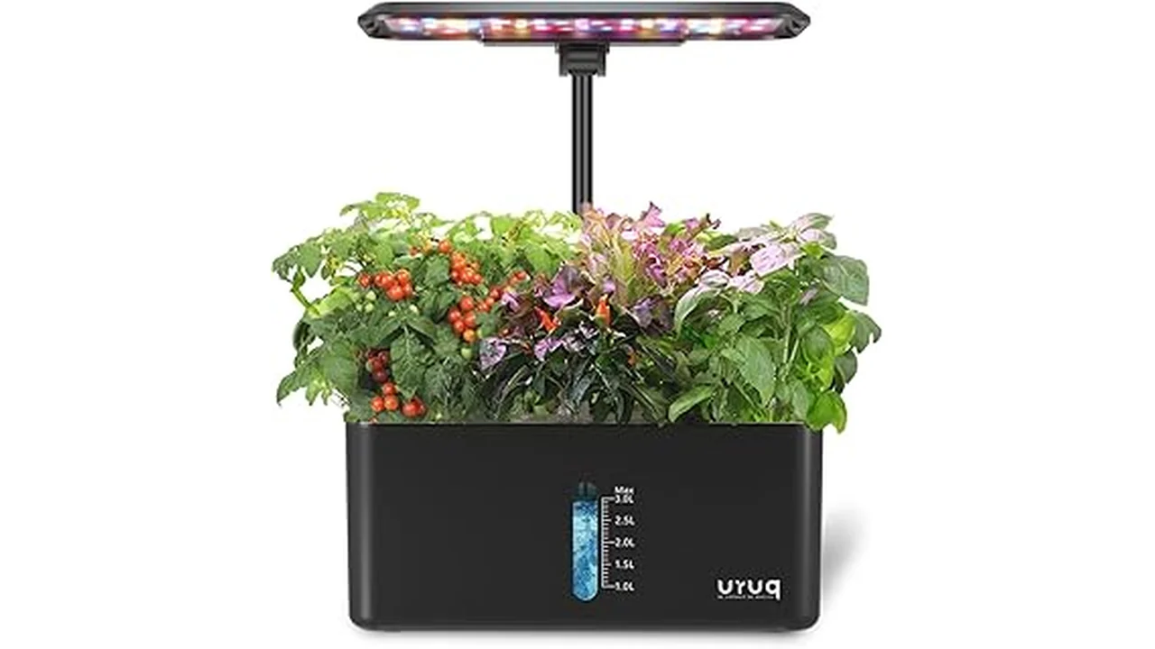 This image shows a hydroponic system growing vibrant strawberries in a garden setting.