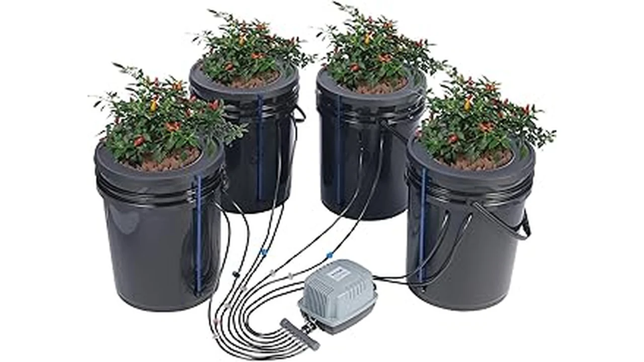 The image shows a well-lit indoor grow tent with multiple hydroponic systems, ideal for cannabis cultivation.