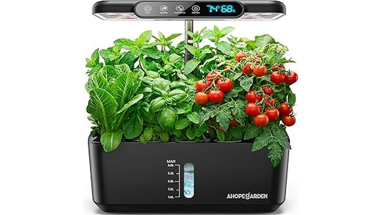 The image shows a vibrant indoor herb garden setup, ideal for a top hydroponics list.