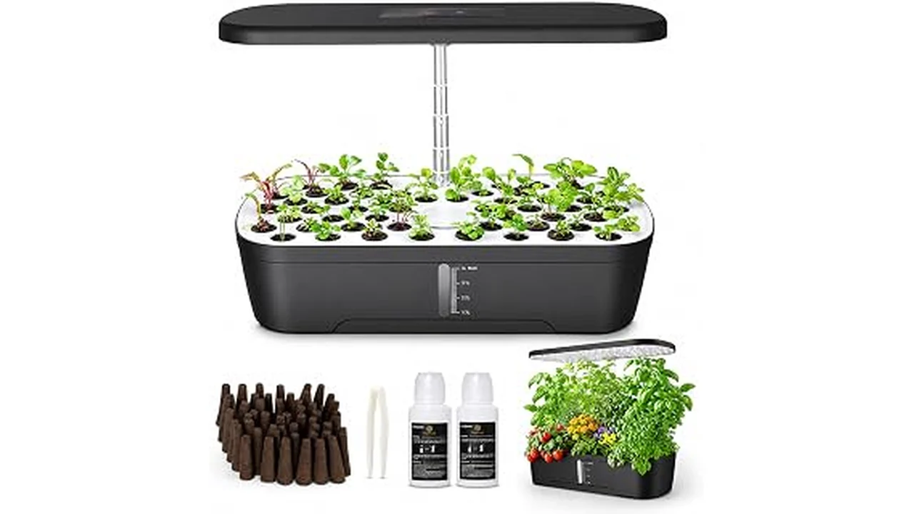 Top 5 Best Large Scale Hydroponics System