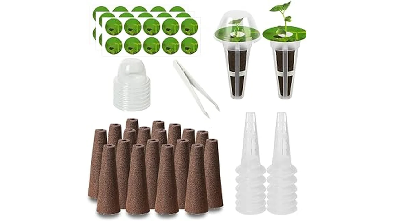 Top 5 Best Leafy Greens for Hydroponics in Texas
