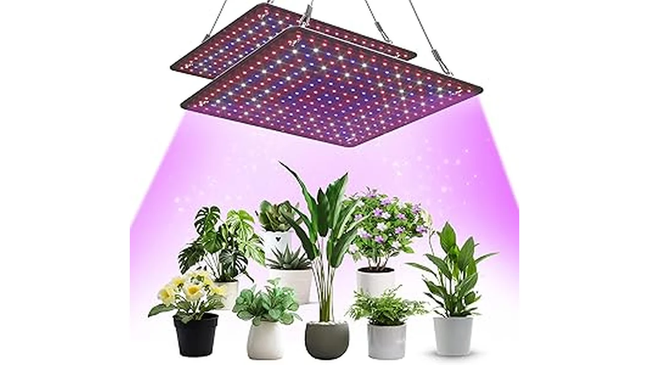 The image shows a powerful LED grow light illuminating lush green plants in a hydroponic setup.