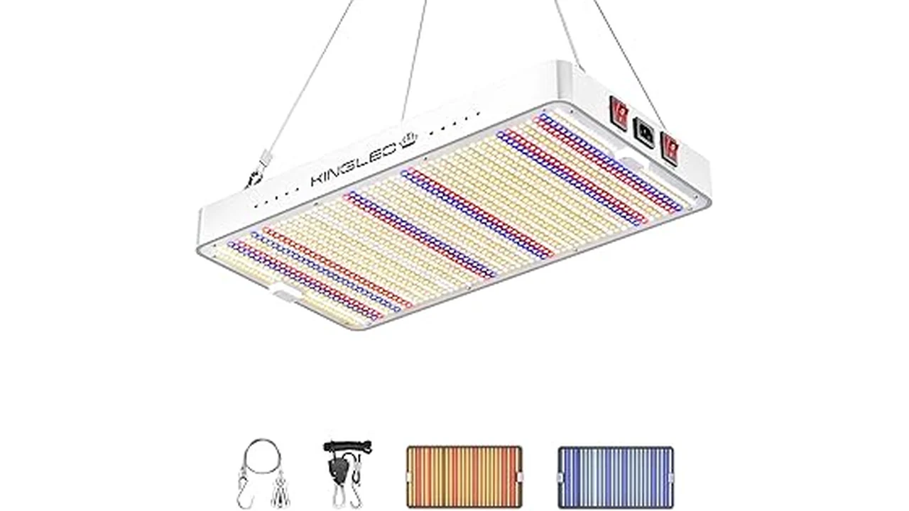 The image shows vibrant green plants growing under modern LED grow lights in a hydroponic system.