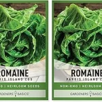 The image shows a variety of fresh lettuce greens ready for hydroponic cultivation, perfect for the Philippines.