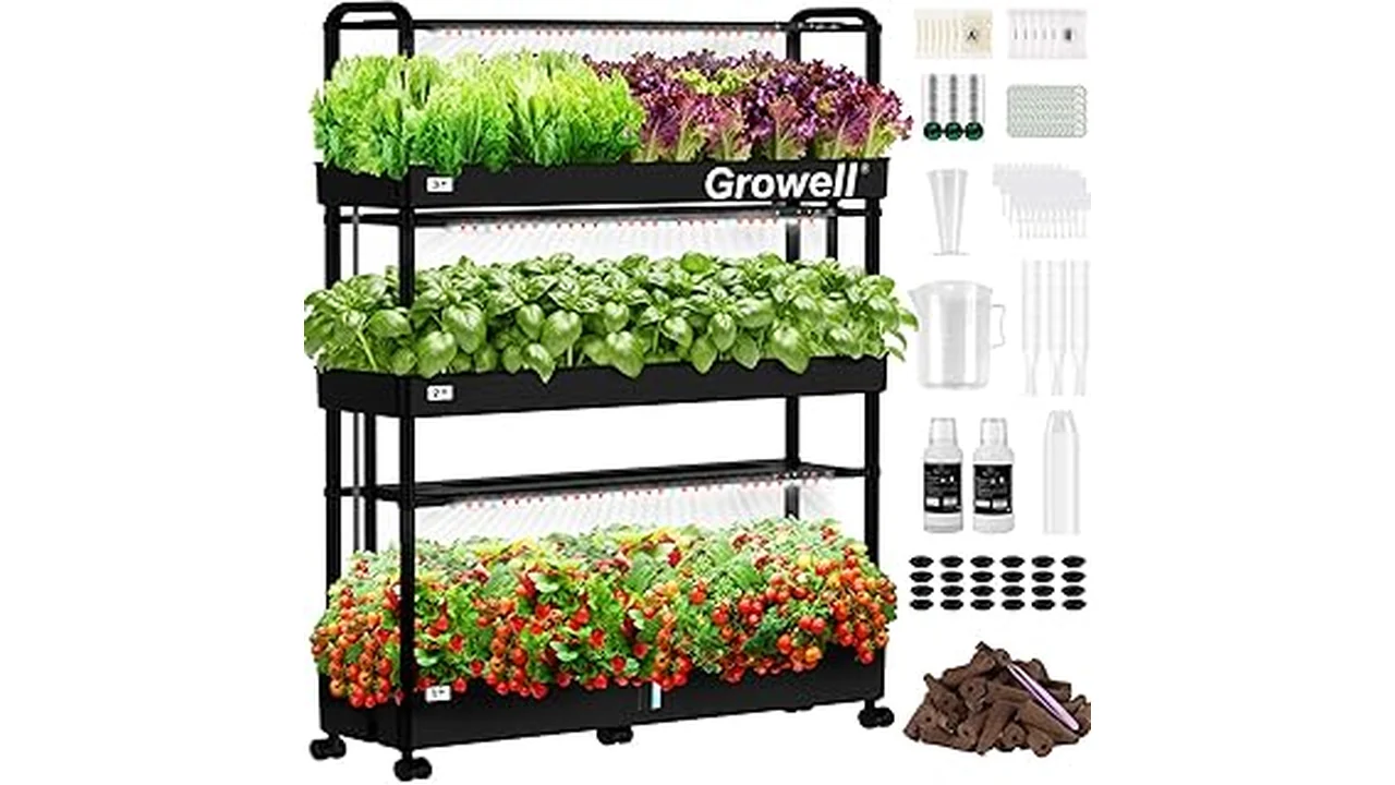 The image shows lush, green lettuce plants growing hydroponically, ideal for the top 5 varieties.