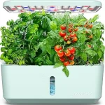 This image shows lush green lettuce plants growing in a hydroponic system, perfect for indoor growing.