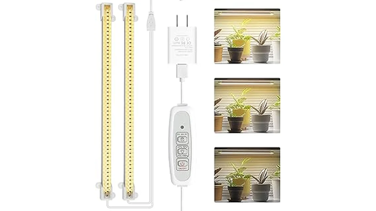 The image shows a thriving hydroponic garden with plants under optimized grow lights, illustrating light schedules.