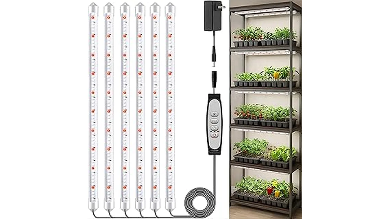 The image shows various grow lights used for hydroponic cannabis cultivation.