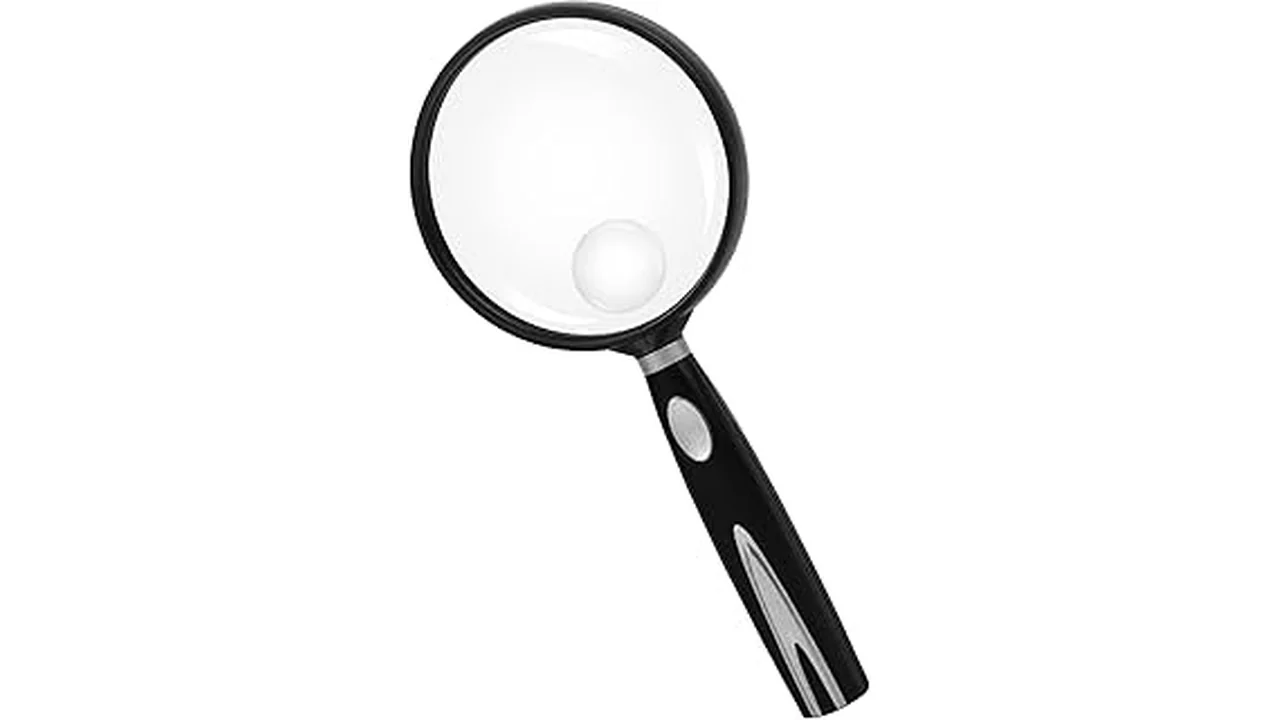 The image shows a magnifying glass examining a healthy hydroponic plant, ideal for the top 5 list.