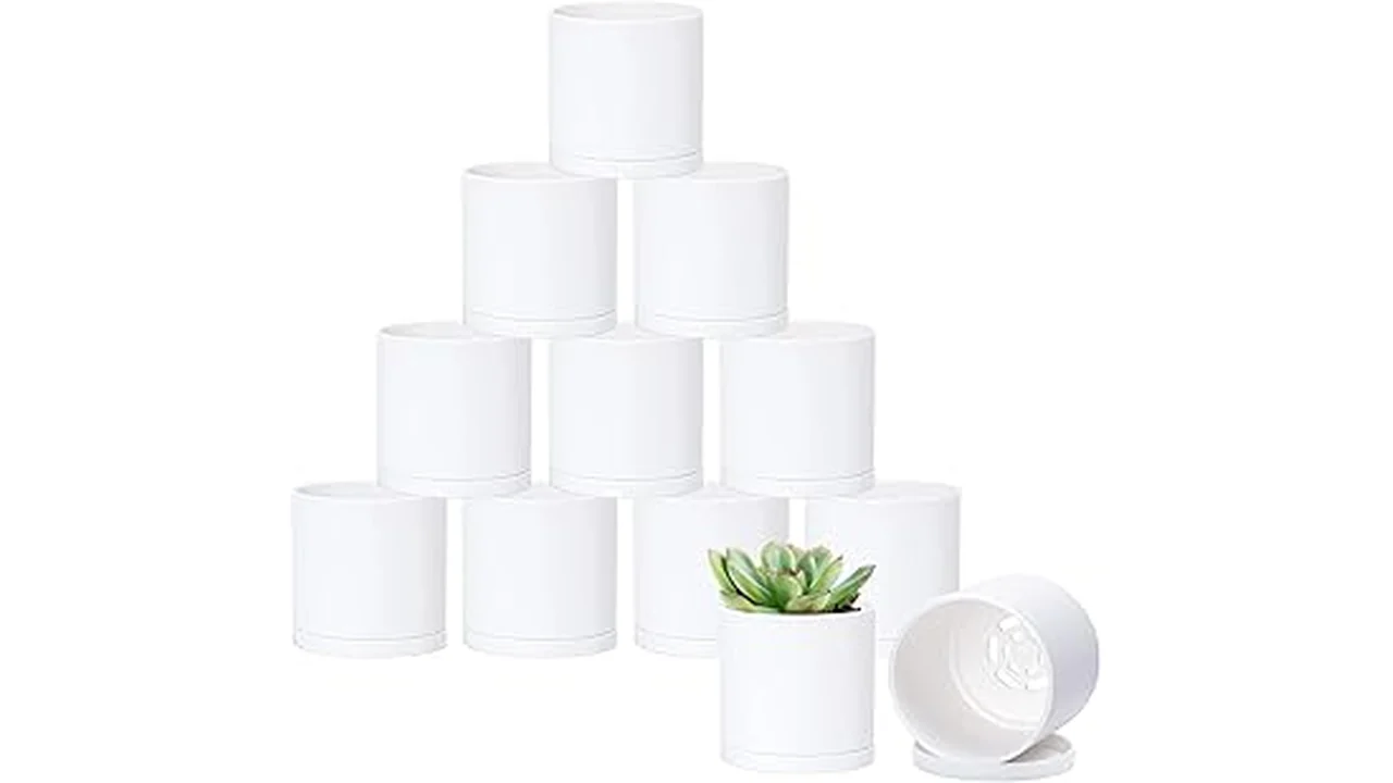 The image shows a selection of media for 3-inch hydroponic pots, perfect for the top five choices.