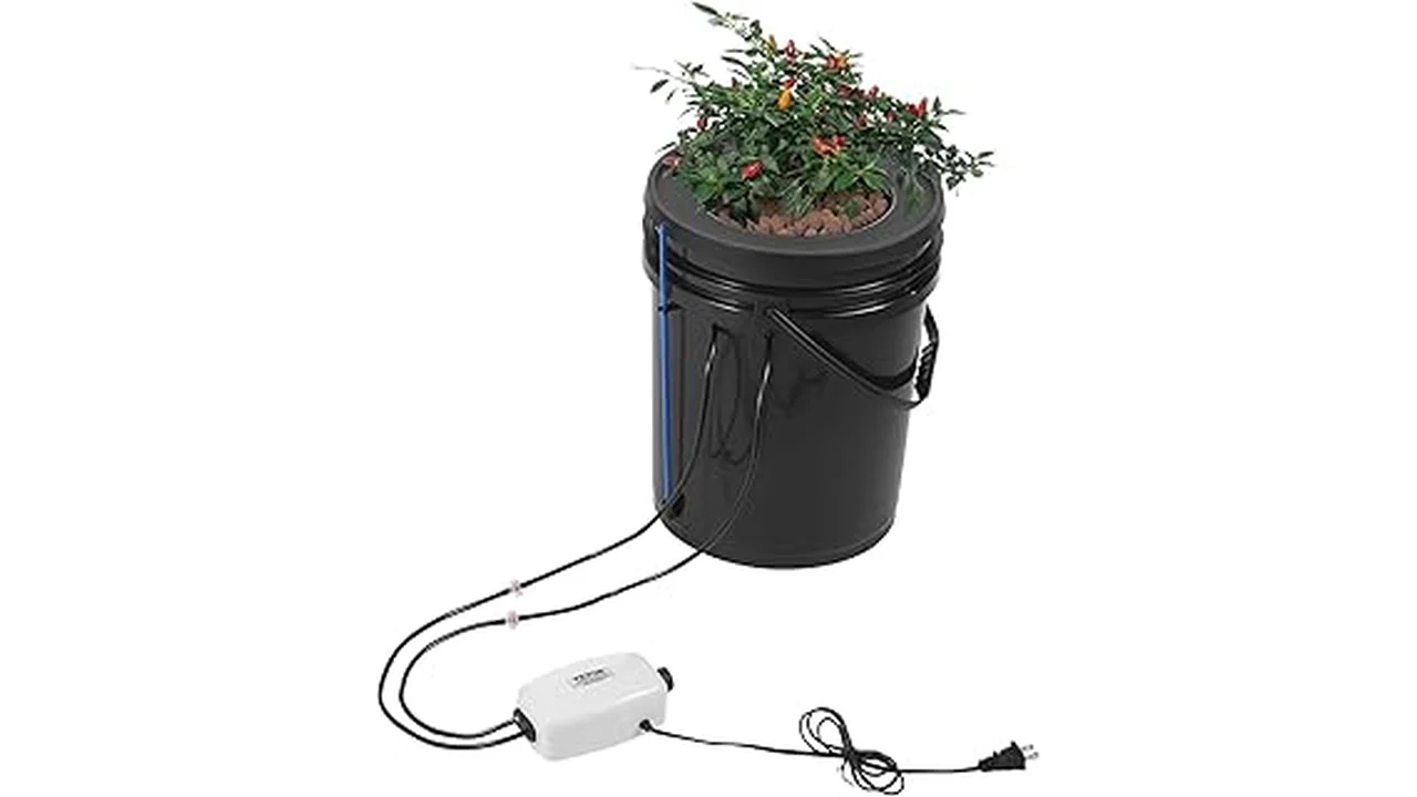 The image shows various hydroponic grow mediums for DWC systems, ideal for top 5 selections.