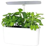 The image shows various hydroponic growing mediums suitable for passive systems.