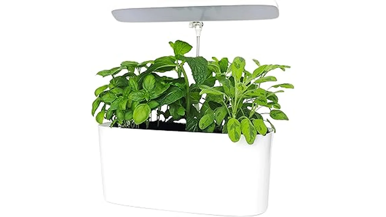 The image shows various hydroponic growing mediums suitable for passive systems.