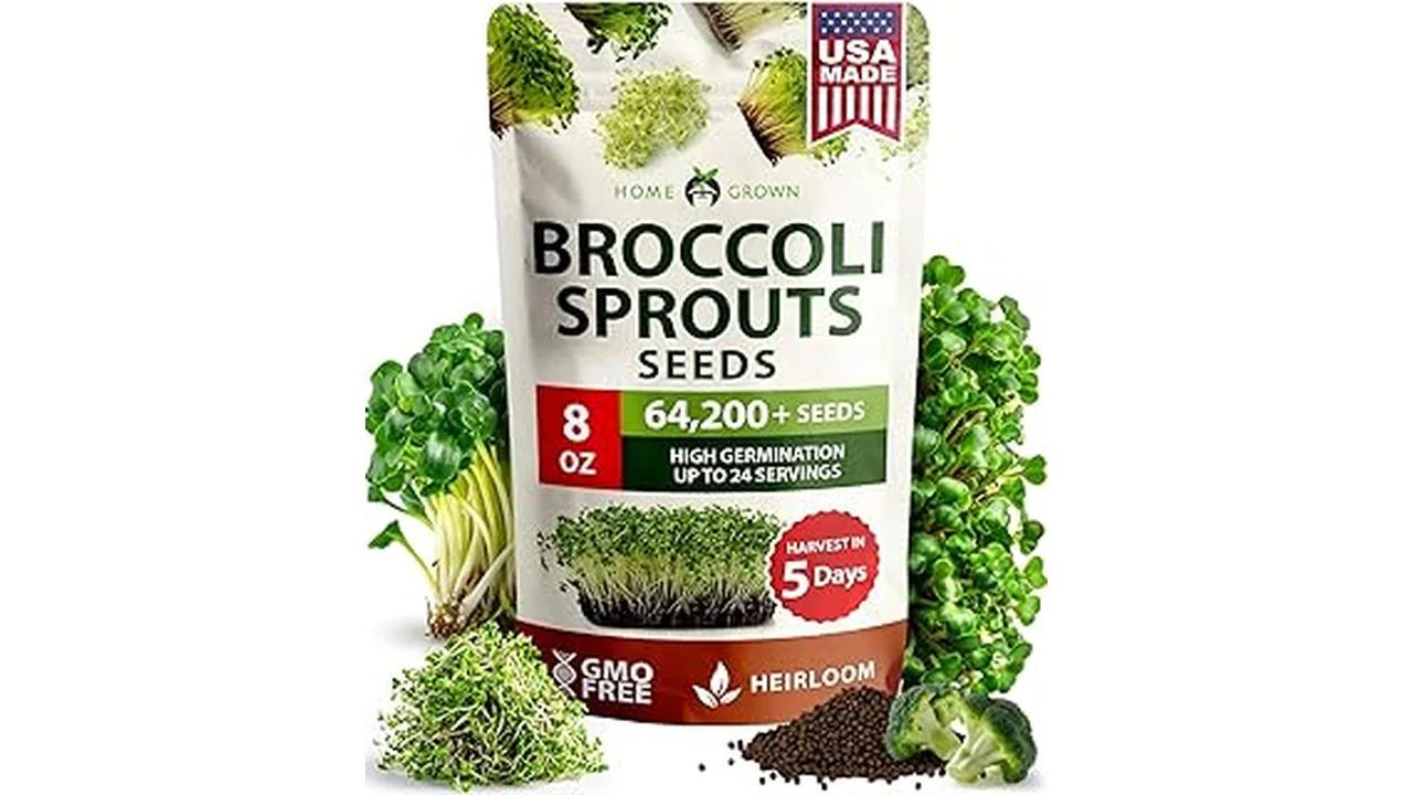 Top 5 Best Micro Greens Seeds for Hydroponics
