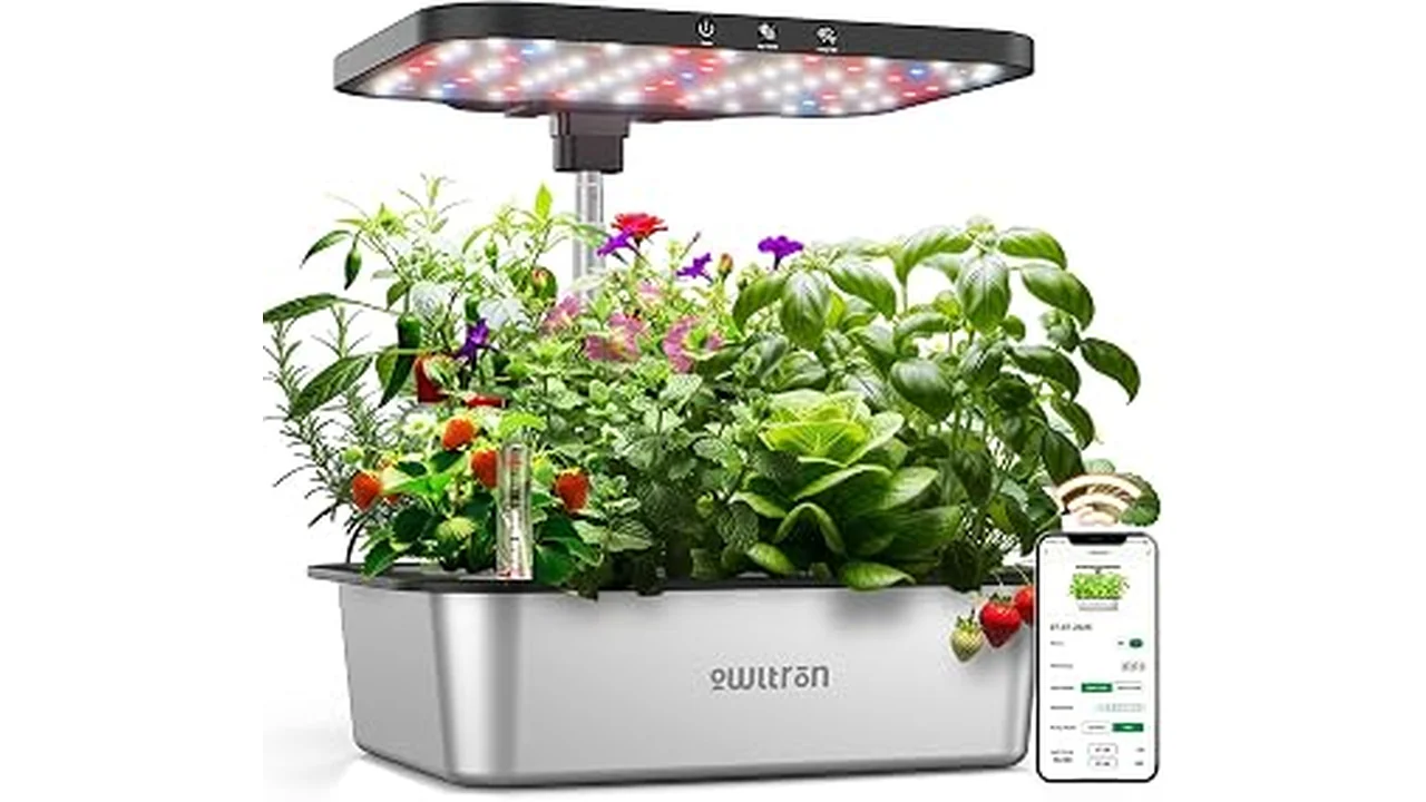 The image shows a vibrant hydroponic garden setup, ideal for a top 5 list of online purchase locations.