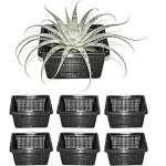 The image shows a selection of small hydroponic baskets ideal for growing plants without soil.