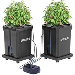 The image shows lush green plants growing in a deep water culture hydroponic system.