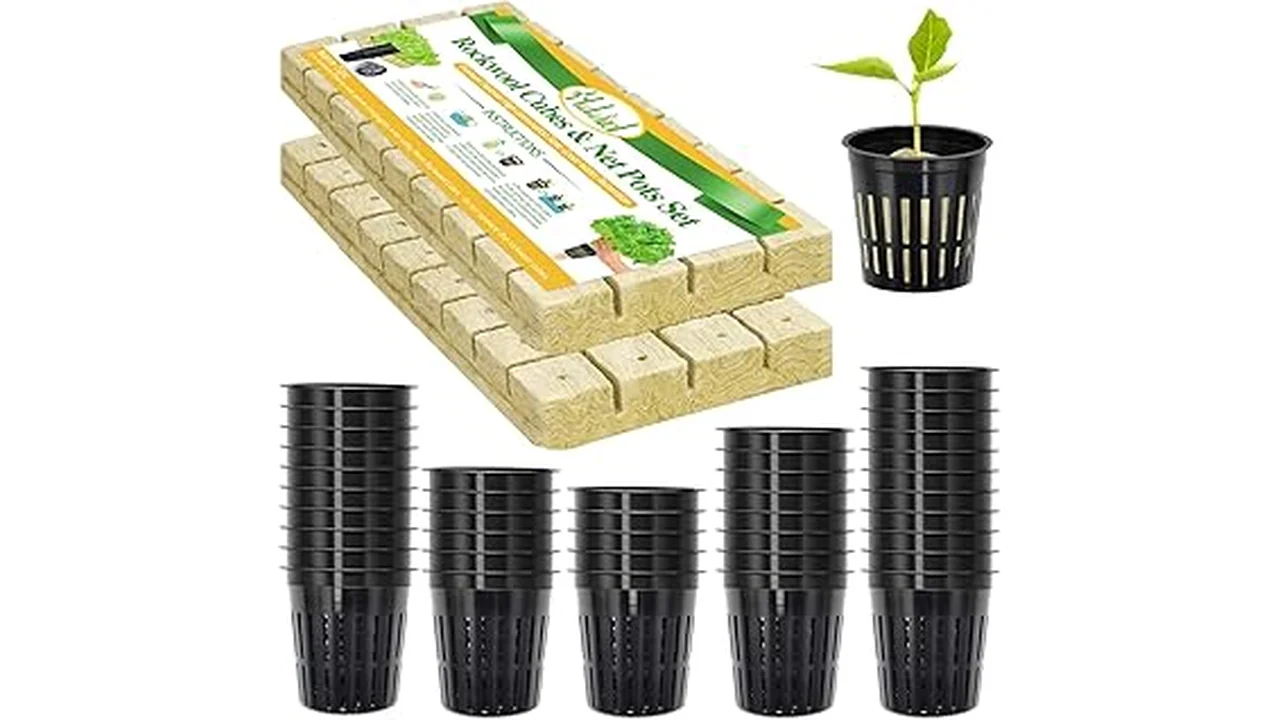 Top 5 Best Plants for Kratky Hydroponics 13 The image shows thriving leafy greens growing in a Kratky hydroponic system, perfect for these top plants.