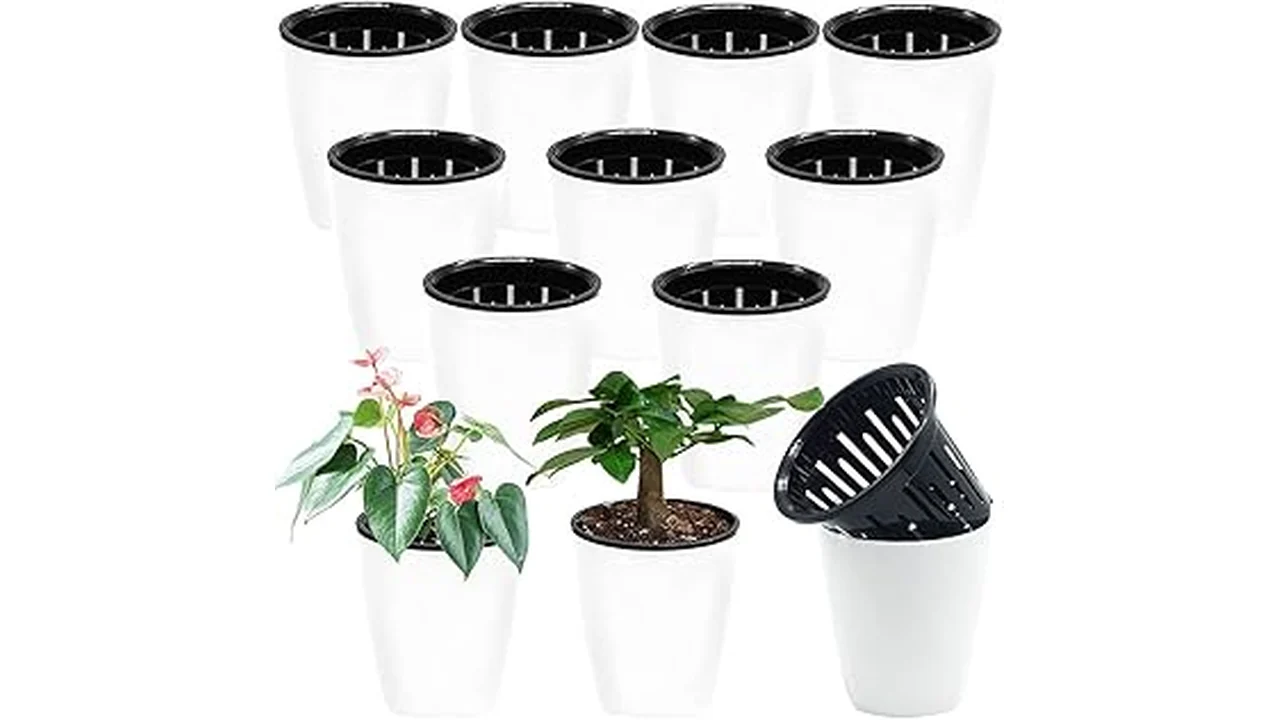 Top 5 Best Plants for Semi Hydroponics 6 The image shows vibrant green plants growing in a semi hydroponic system, perfect for the top 5.