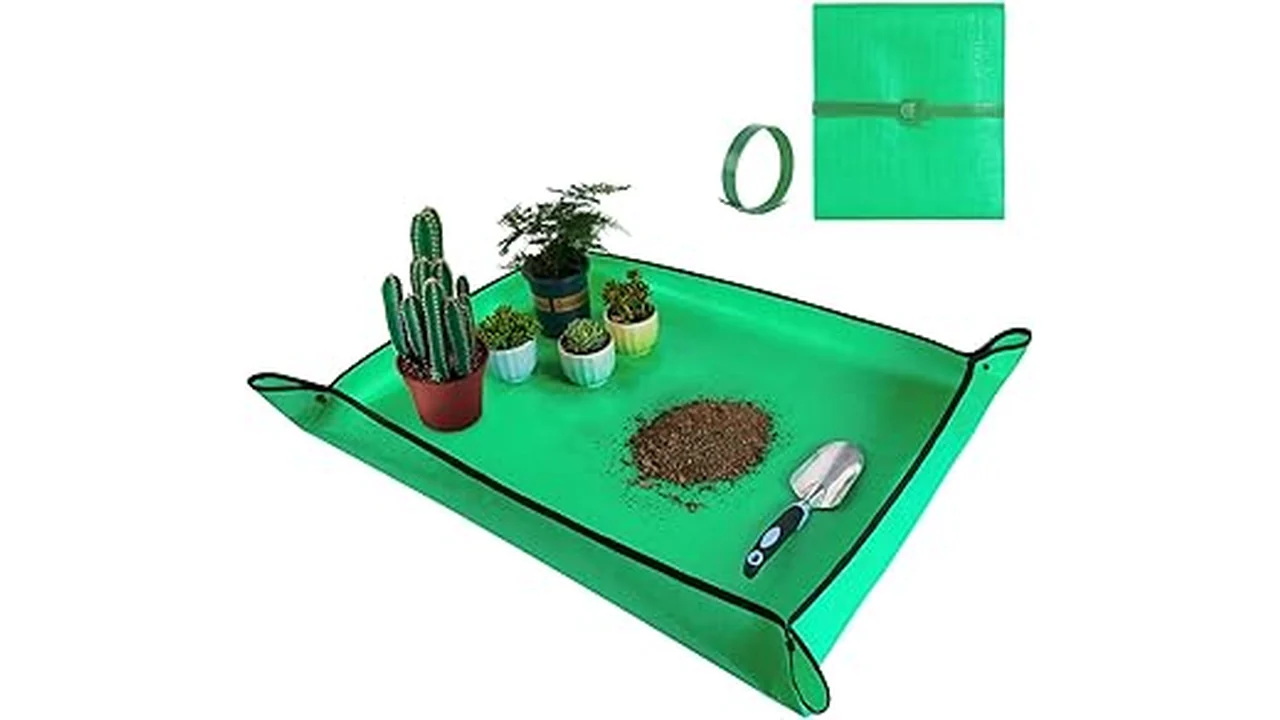The image shows vibrant green plants ready for transplanting, highlighting top hydroponic choices.
