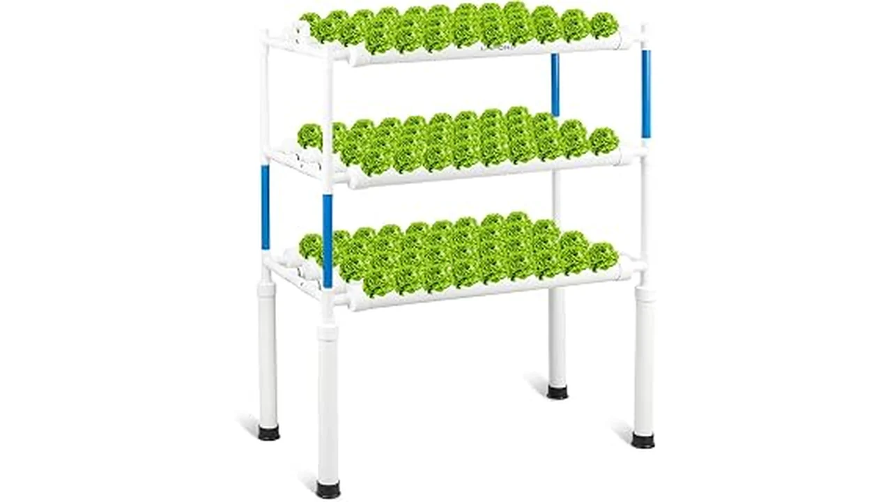 The image shows a hydroponic system with lush green plants, representing the top 5 best plants for hydroponic growing.