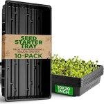 The image shows a well-organized hydroponics tray setup, ideal for finding the best room for growth.