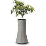 The image shows a sleek, modern small indoor hydroponics system growing fresh herbs.