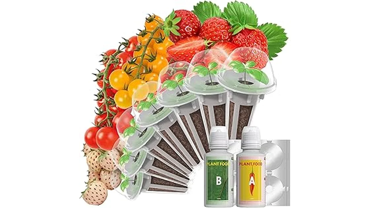 The image shows vibrant strawberry plants growing in a hydroponic system, perfect for the top 5 list.