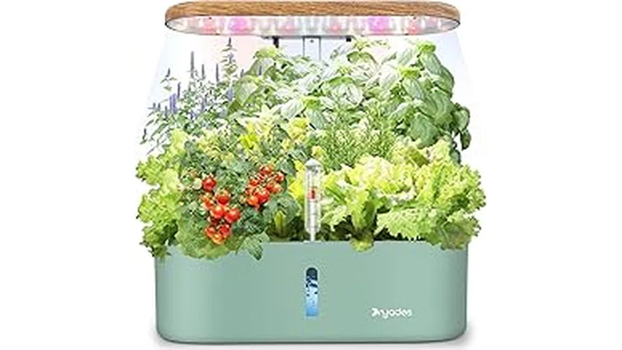 The image shows a thriving hydroponics farm, illustrating ideal temperatures for growing in Rimworld.