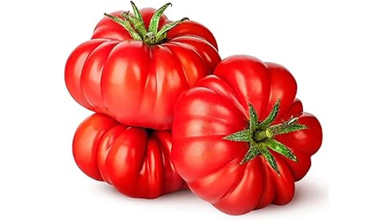 Top 5 Best Tomato Seeds for Hydroponics 22 The image shows a vibrant collection of tomato seeds, perfect for hydroponic growing systems.