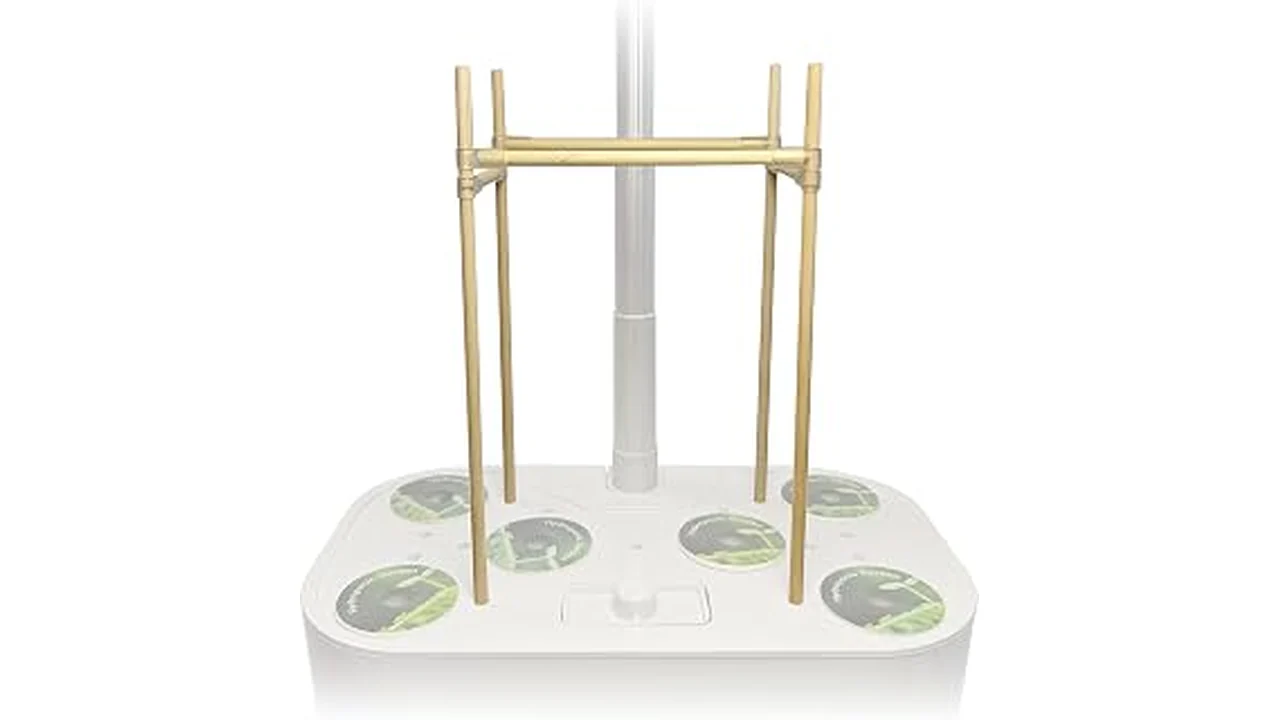The image shows vibrant tomato plants growing indoors hydroponically, showcasing the top varieties for this method.