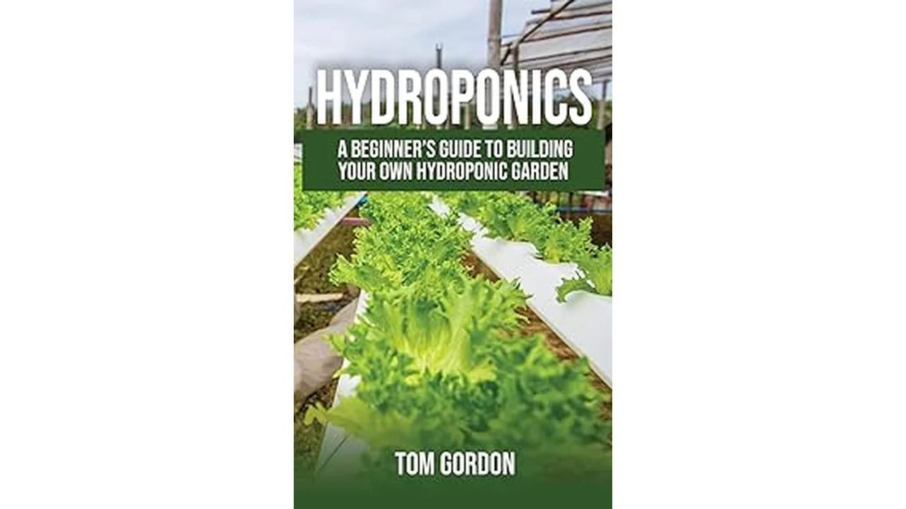 The image shows a modern greenhouse structure, ideal for hydroponic systems and one of the top building types.