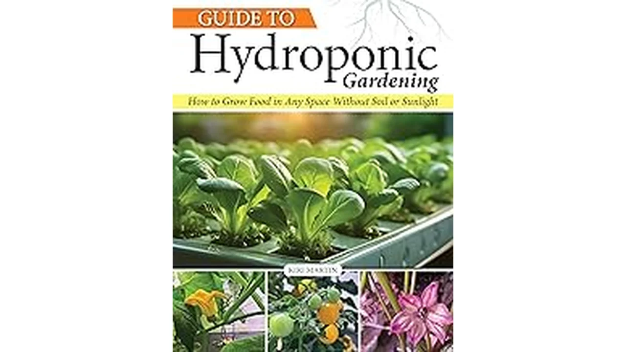 Top 5 Best Us Region to Grow Hydroponics