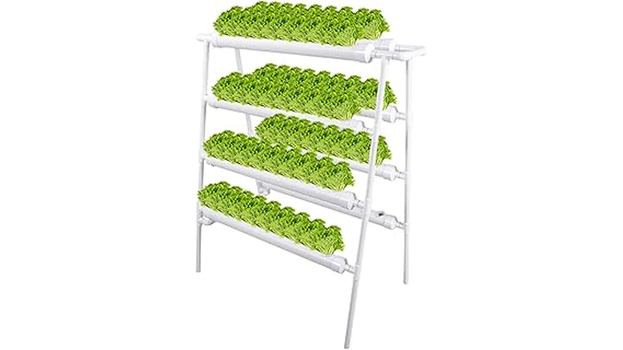 Top 5 Best Vegetable Plants for Hydroponics 13 The image shows vibrant green leafy vegetables growing in a hydroponic system, perfect for the top 5 best.