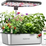 The image shows a neatly organized hydroponic setup, hinting at the top 5 best ways to get started.