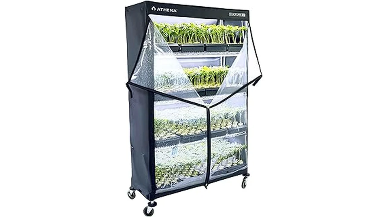 The image shows a hydroponic setup from Top 5 Green Zone Hydroponics Best in Service Amherst Ny 1422.