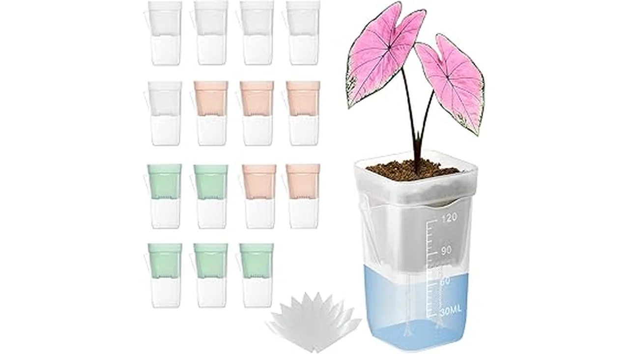 The image shows a side-by-side comparison of hydroponic and soil planting systems for the best pots.
