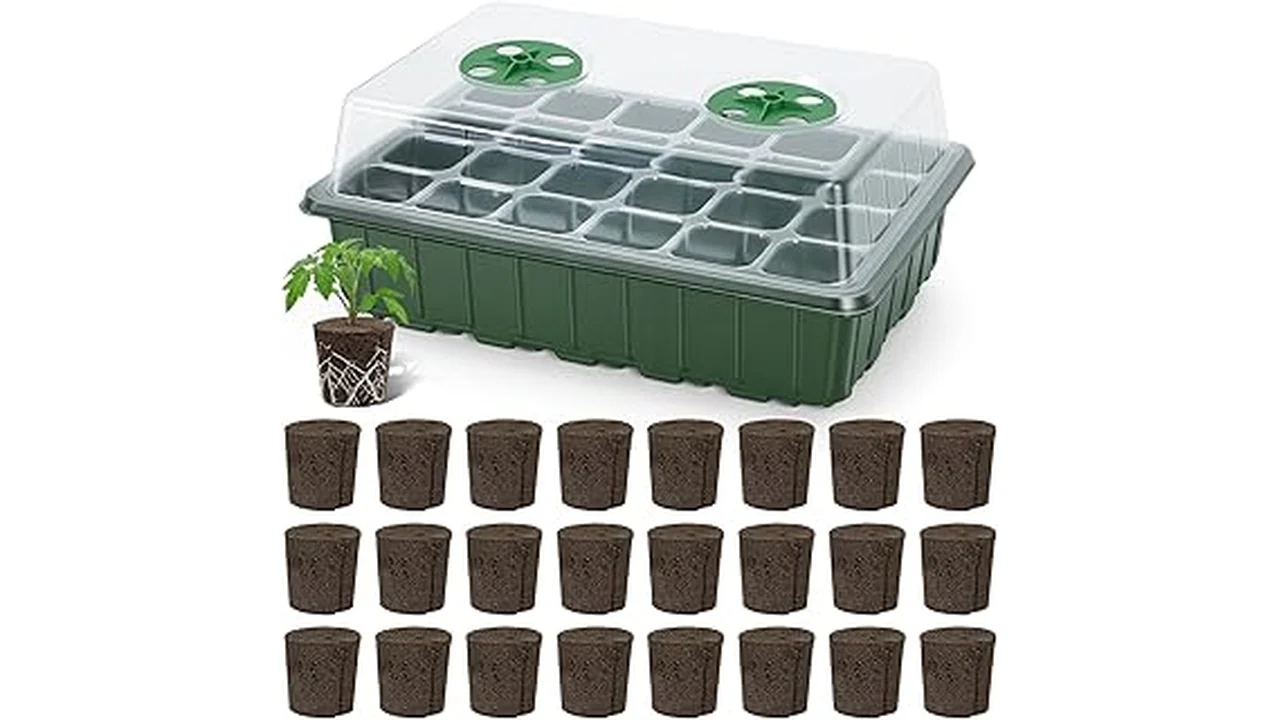 Top 5 Rimworld Best Crop for Hydroponics