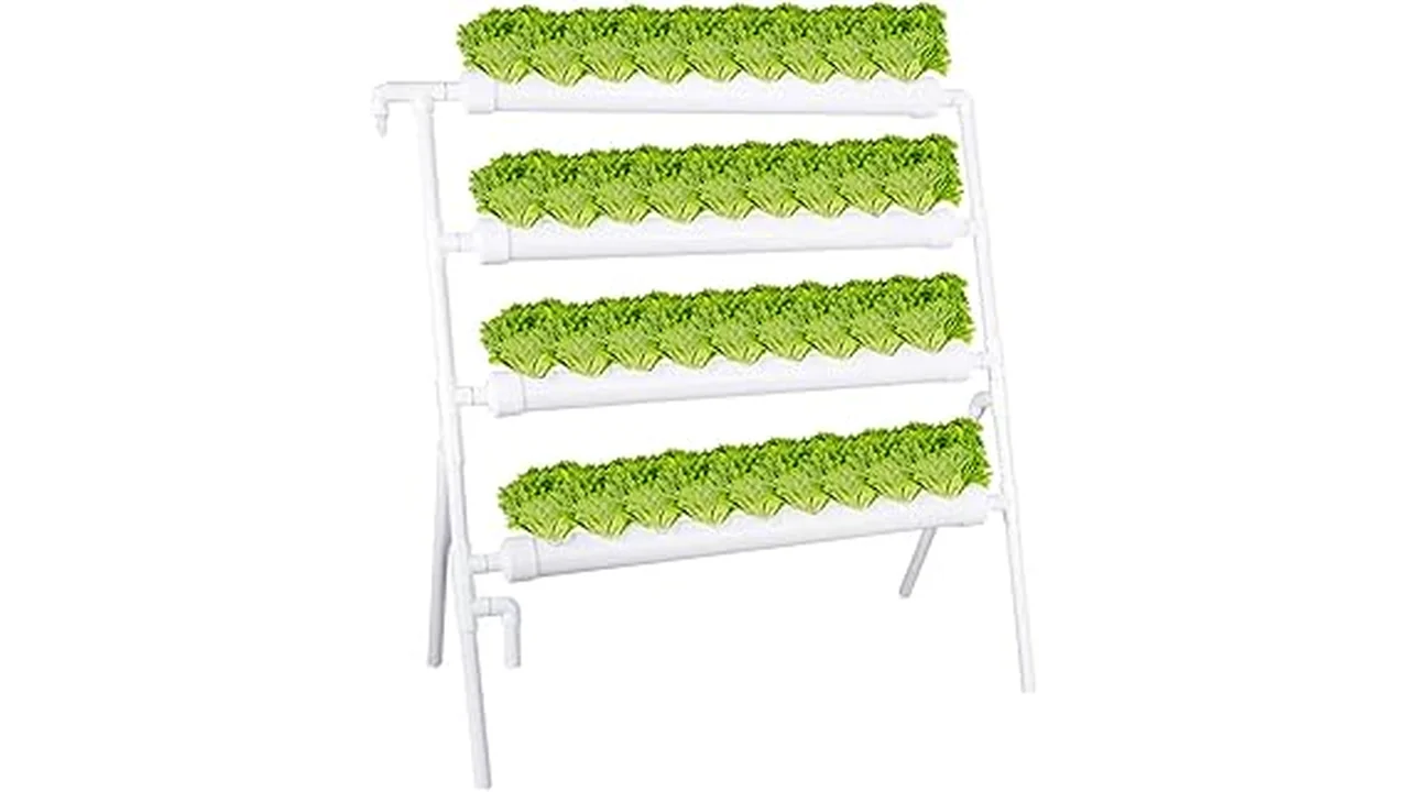 The image shows a thriving hydroponics farm with various crops, perfect for Rimworld's best food for hydroponics.