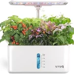The image shows vibrant green plants growing in a hydroponic system, showcasing top choices for hydroponic cultivation.