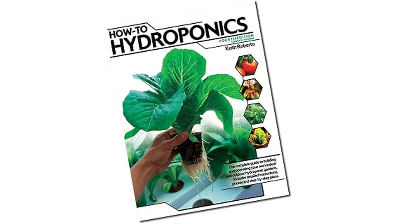 This image shows a vibrant hydroponic garden featuring lush leafy greens ready for harvest.