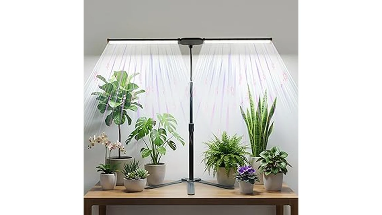 The image shows various colorful grow lights illuminating healthy green plants in a hydroponic system.