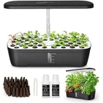 The image shows a thriving leafy green hydroponics system, ideal for the best leafy green setups.