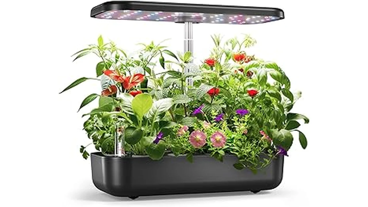 The image shows a hydroponics system with plants growing in water, showcasing options for weed cultivation.