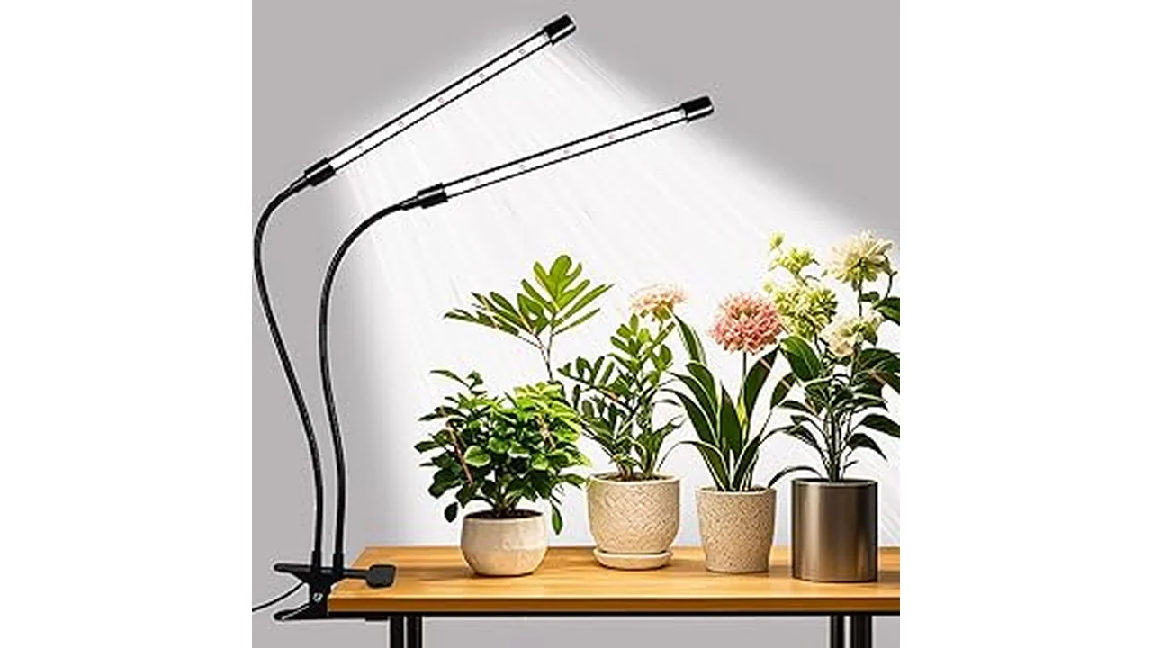 The image shows a hydroponic grow tent with various light fixtures illuminating plants.