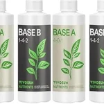 This image shows a vibrant, leafy green plant growing in a hydroponic system with nutrient solution.
