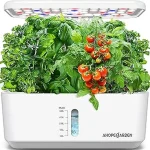 The image shows a variety of lush plants growing in a hydroponic system, ideal for the top 5 best hydroponic plants.