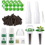 This image shows a hydroponic garden with lush green plants growing in water.