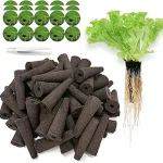 This image shows vibrant green seedlings growing in a hydroponic system, ideal for top seed choices.