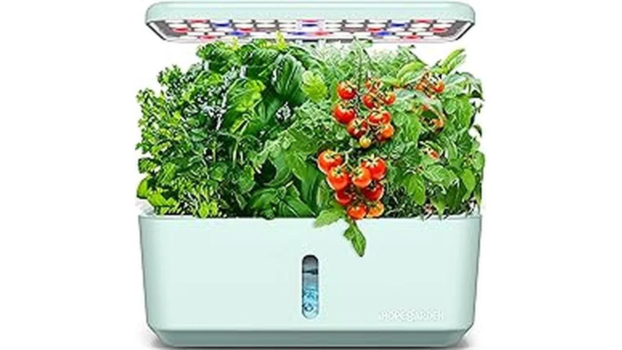 Top 5 What Vegetables Grow Best With Hydroponics